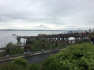 Climate marchers at Boulevard Park, Bellingham